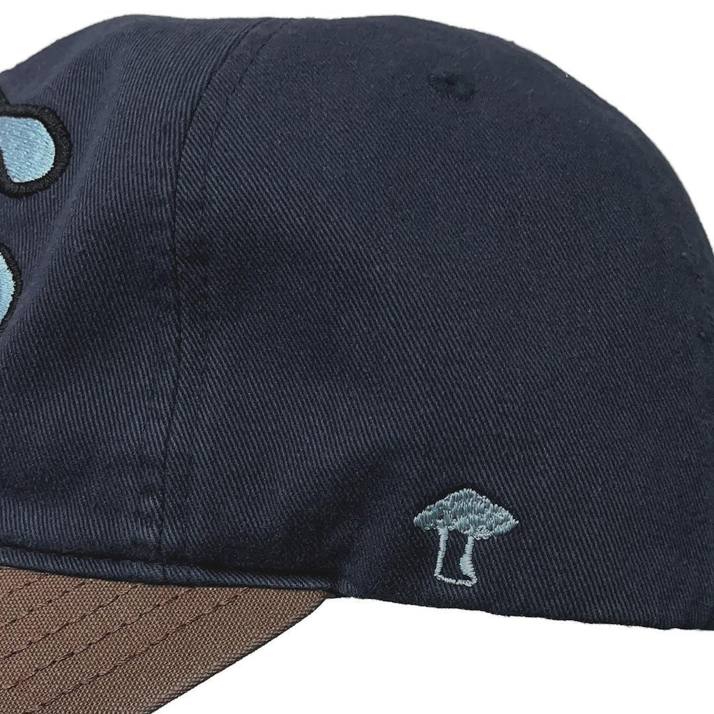 TCM mush cap