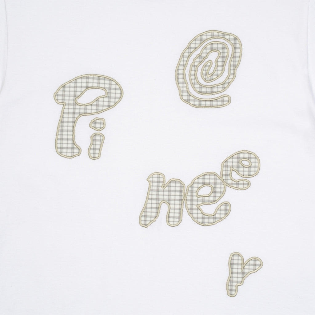 TCM pioneer T