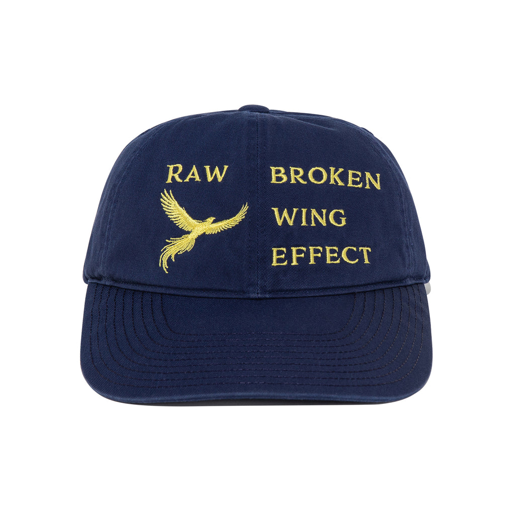 TCM wing cap (navy)